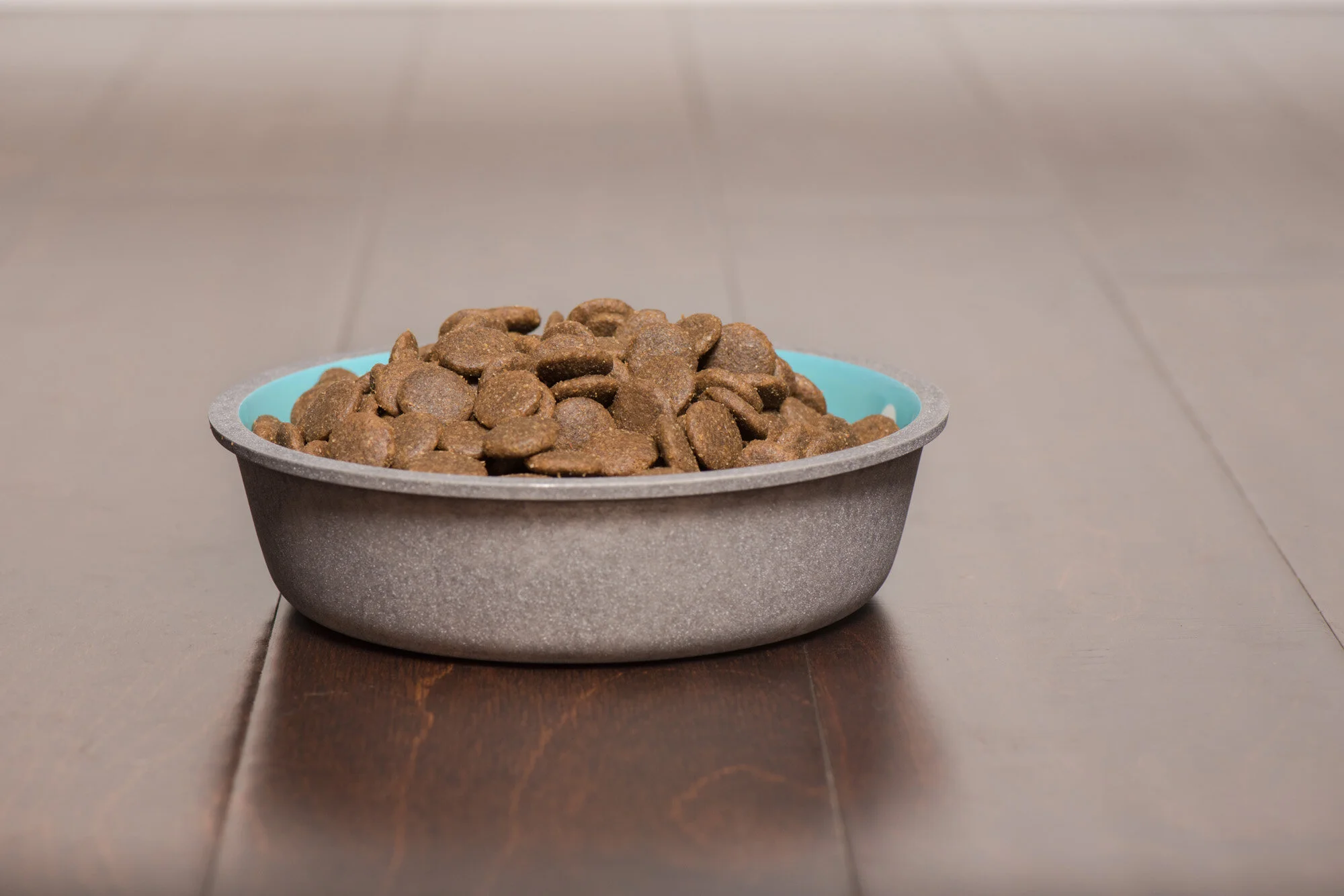 Is It Ok To Change Dog Food Top Sellers